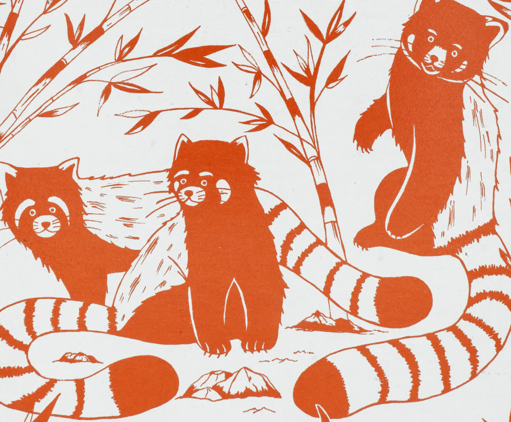 Topbound Pocket Sized Red Pandas Decomposition Book