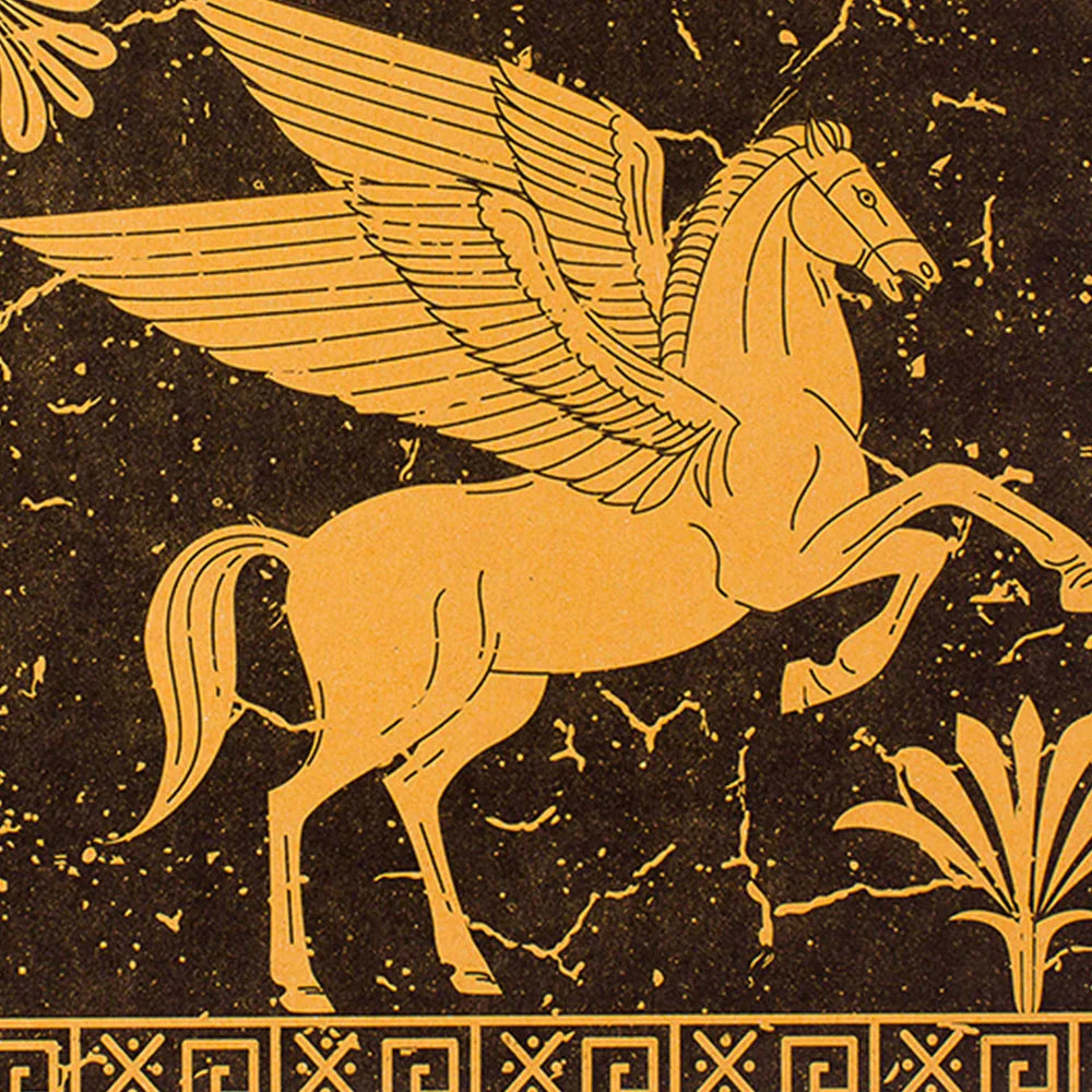 Pegasus Pocket Sized Decomposition Book
