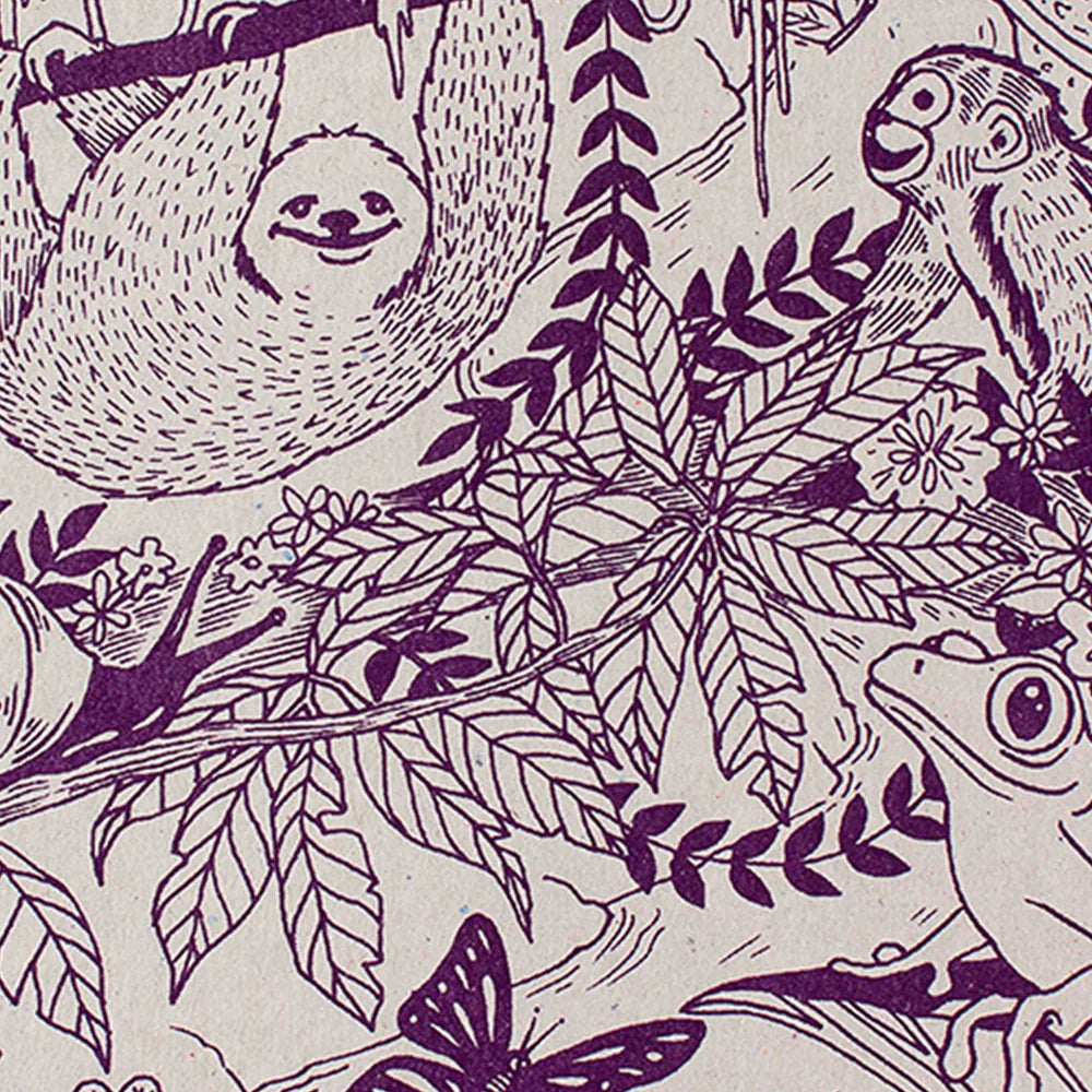 Rainforest Decomposition Book