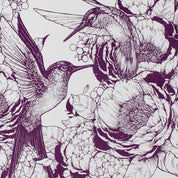 Hummingbirds Decomposition Book